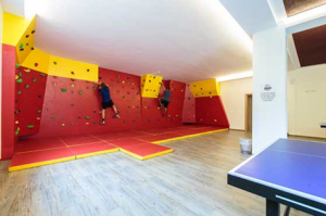 Indoor klimwand Wolkensteinbär