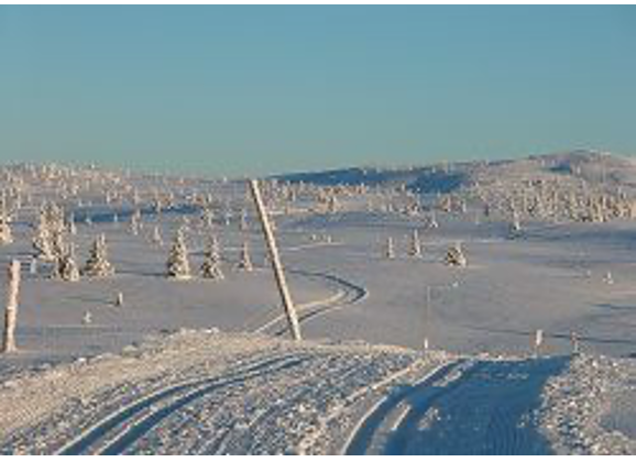 Lege loipes, weids uitzicht, lage bomen en struiken