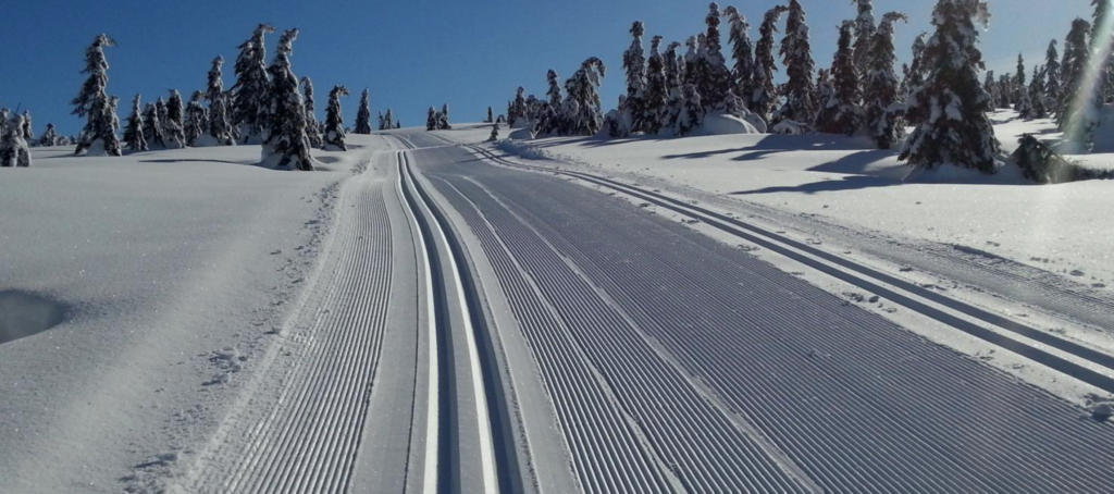 Lillehammer - strakke loipes