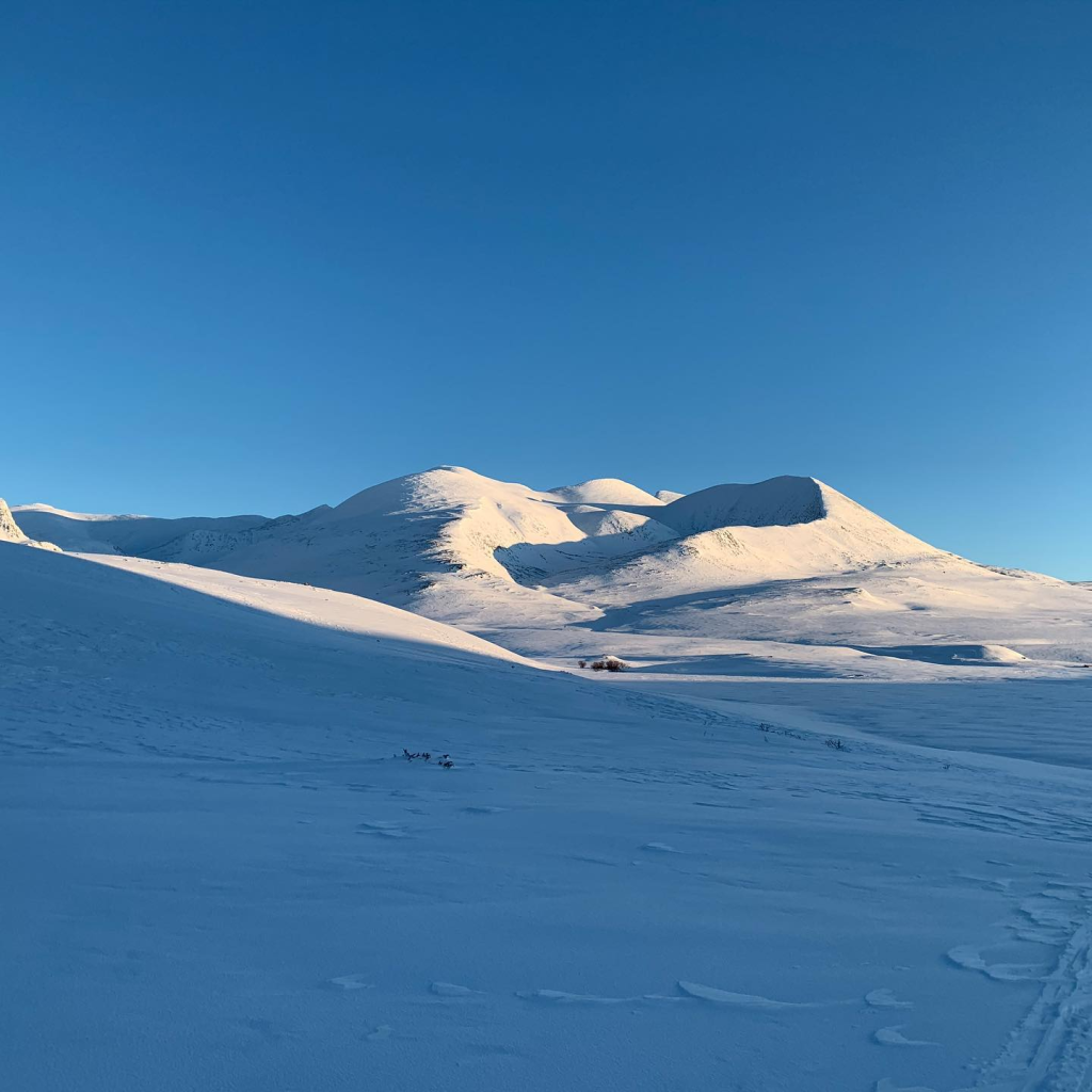 Winters berglandschap